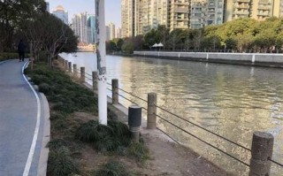 黄浦江垂钓区在哪里