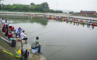 江苏温棚垂钓中心