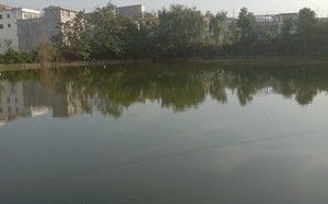 刘皇甫村