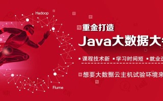 大数据技术职业生涯规划书1000字
