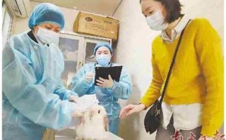 宠物兔的免疫接种