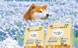 宠物生化全套包括哪些