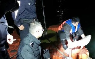 泥鳅打窝子钓鱼