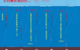 秋季野钓青鱼技巧