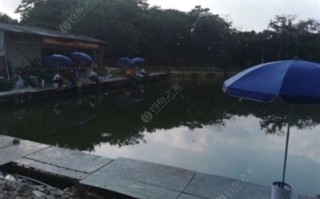 巍山庄生态景观农业园