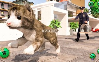 玩法特点