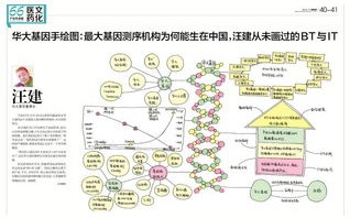 阶段一：数据收集