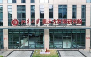 重庆大数据中心主任