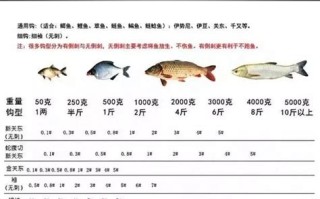 快乐垂钓ftt怎么参加