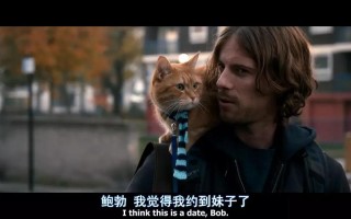 男子替朋友养宠物电影叫什么