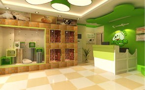 荣昌的宠物店如何选择？