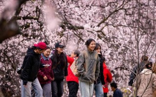 世园会满月八方游客共赴繁花之约赏花流量带动消费新场景丨成都发展