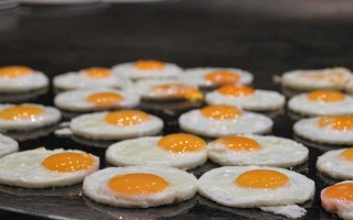 中国疫情动态，31省区市新增确诊32例的分析与应对