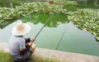 快乐垂钓频道主持人李若萱照片