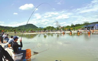 高淳钓鱼天气