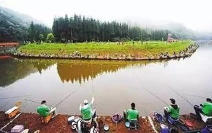 宝山垂钓鱼塘
