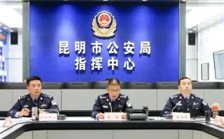 公安疫情数据核查工作总结