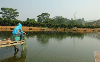 宜昌青鱼垂钓群地址