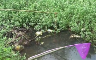1.红河