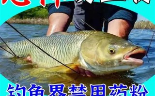 附近钓鲫鱼的垂钓园电话