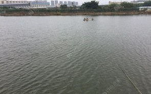 合肥垂钓天塘