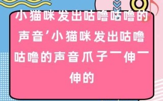 1.狗