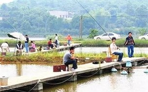 株洲垂钓哪里好