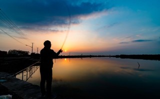 岁月静湖
