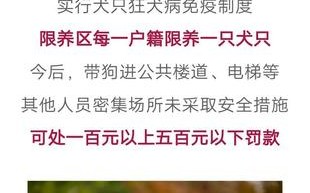 宠物禁令通知