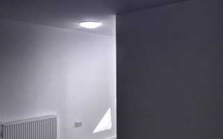 探索后室间沟，人体结构的神秘角落