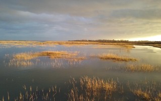扎龙湿地，自然之镜中的生态奇迹