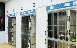 宠物医院名字