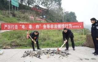 长江非法捕鱼的定罪量刑