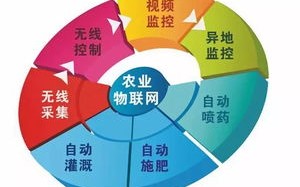 物联网 大数据