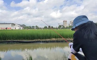 台州垂钓园