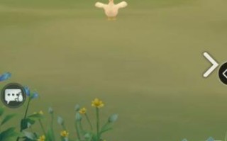 江湖悠悠养宠物