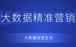 大数据时代精准营销引言总结