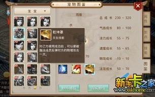 问道手游宠物怎么加血