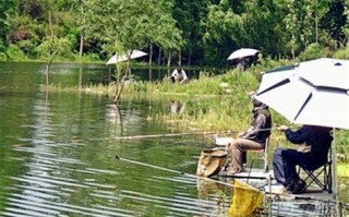小度图片绘画