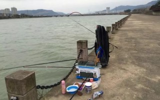 禁捕区钓鱼处罚