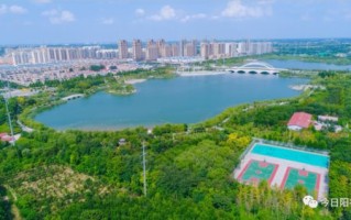 1.项目概述