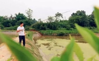 济南小龙虾多少钱一斤