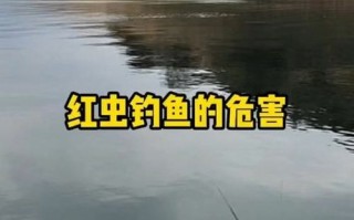 解析：“垂钓闲云，天上云”的意思