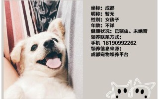 杭州宠物微信群
