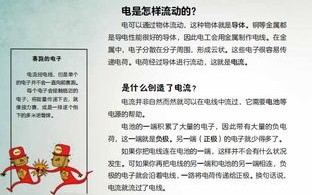 宠物有趣时刻汇编故事