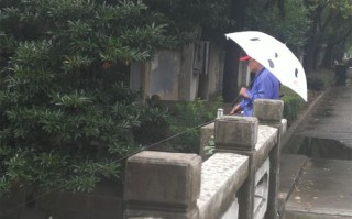 小区钓鱼视频