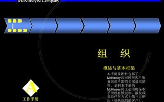 麦肯锡大数据应用定义