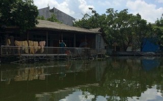 垂钓农家院