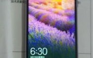 年可以闭眼入手的款手机，口碑好用五年不过时，都是真香机