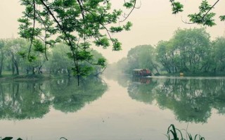 西溪湿地里面能开车吗